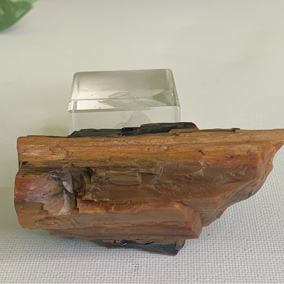 Red Petrified Wood Limb Orange Black Rough Display Specimen 3.3"x1.75" 142g 5oz - Picture 13 of 15
